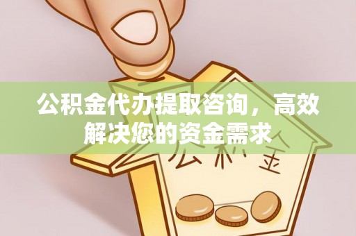 磁县公积金代办提取咨询，高效解决您的资金需求