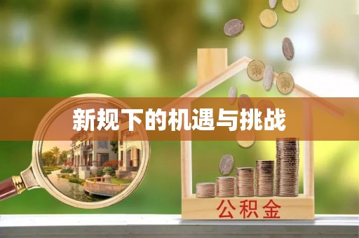 磁县新规下的机遇与挑战