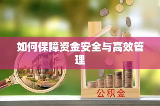 磁县如何保障资金安全与高效管理