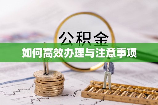 磁县如何高效办理与注意事项