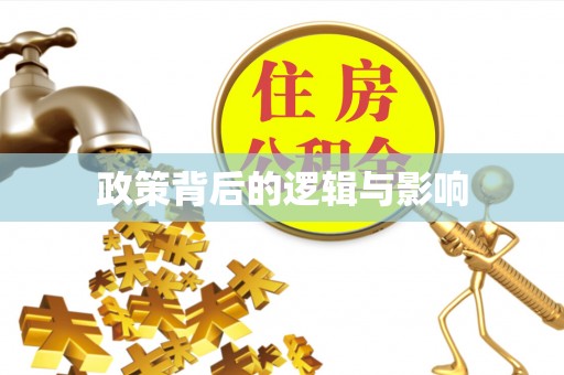 磁县政策背后的逻辑与影响