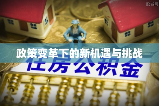 磁县政策变革下的新机遇与挑战