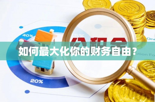磁县如何最大化你的财务自由？