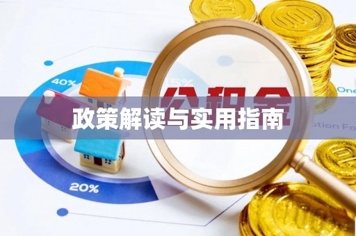 磁县政策解读与实用指南