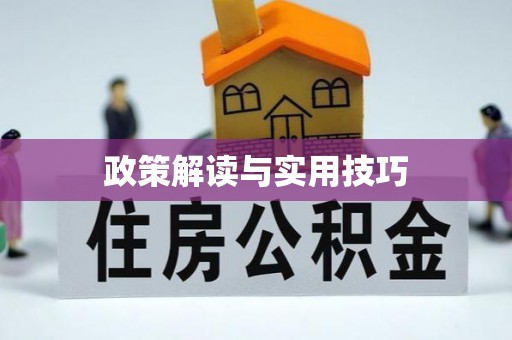 磁县政策解读与实用技巧