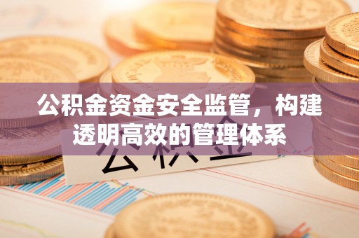 磁县公积金资金安全监管，构建透明高效的管理体系
