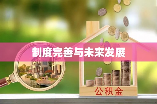 磁县制度完善与未来发展