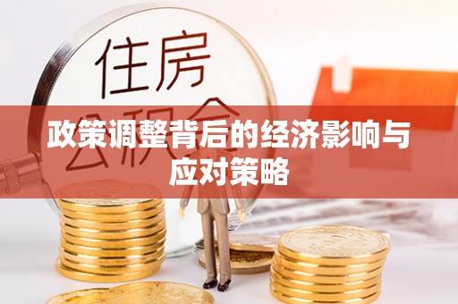 磁县政策调整背后的经济影响与应对策略