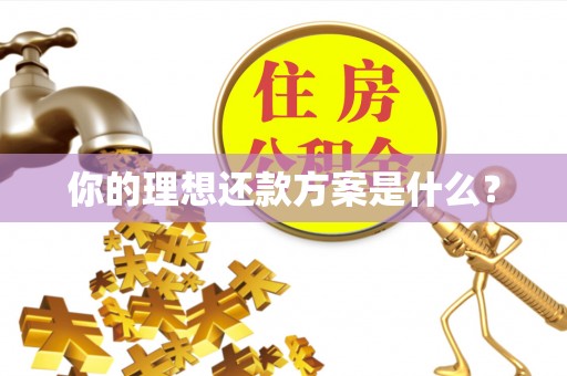 磁县你的理想还款方案是什么？