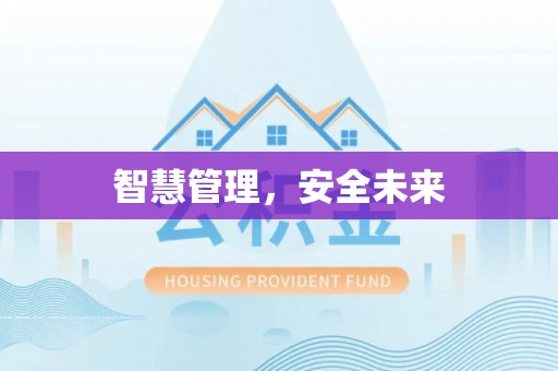 磁县智慧管理，安全未来