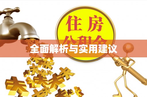 磁县全面解析与实用建议