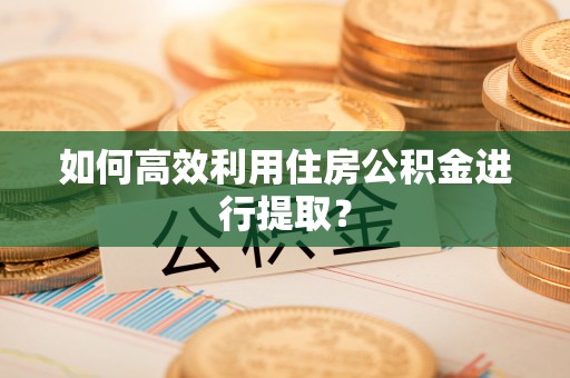 磁县如何高效利用住房公积金进行提取？