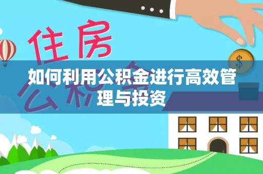 磁县如何利用公积金进行高效管理与投资