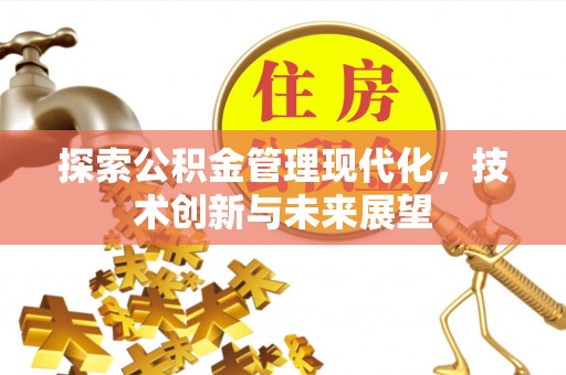 磁县探索公积金管理现代化，技术创新与未来展望