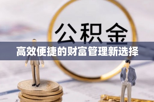 磁县高效便捷的财富管理新选择