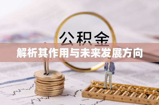 磁县解析其作用与未来发展方向