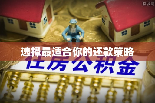 磁县选择最适合你的还款策略