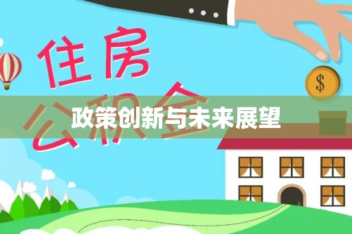 磁县政策创新与未来展望