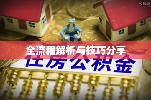 磁县全流程解析与技巧分享