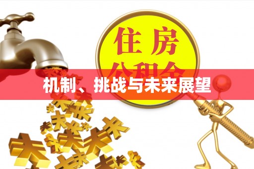 磁县机制、挑战与未来展望