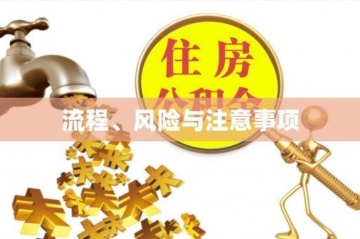 磁县流程、风险与注意事项