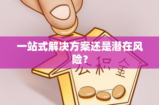 磁县一站式解决方案还是潜在风险？