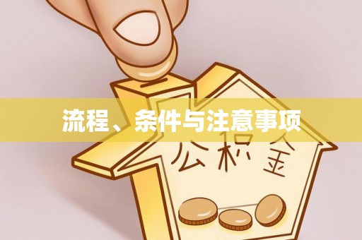 磁县流程、条件与注意事项
