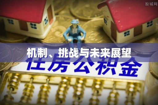 磁县机制、挑战与未来展望